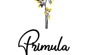 Primula